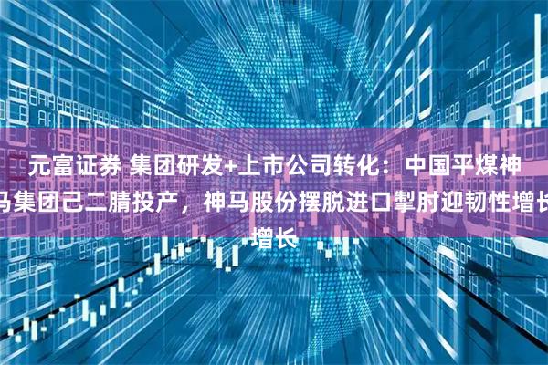 元富证券 集团研发+上市公司转化：中国平煤神马集团己二腈投产，神马股份摆脱进口掣肘迎韧性增长