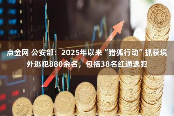 点金网 公安部：2025年以来“猎狐行动”抓获境外逃犯880余名，包括38名红通逃犯