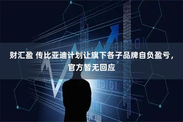 财汇盈 传比亚迪计划让旗下各子品牌自负盈亏，官方暂无回应