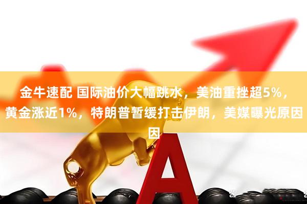 金牛速配 国际油价大幅跳水，美油重挫超5%，黄金涨近1%，特朗普暂缓打击伊朗，美媒曝光原因