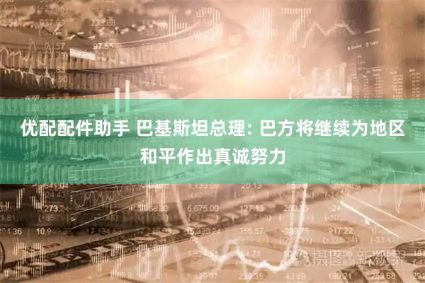优配配件助手 巴基斯坦总理: 巴方将继续为地区和平作出真诚努力